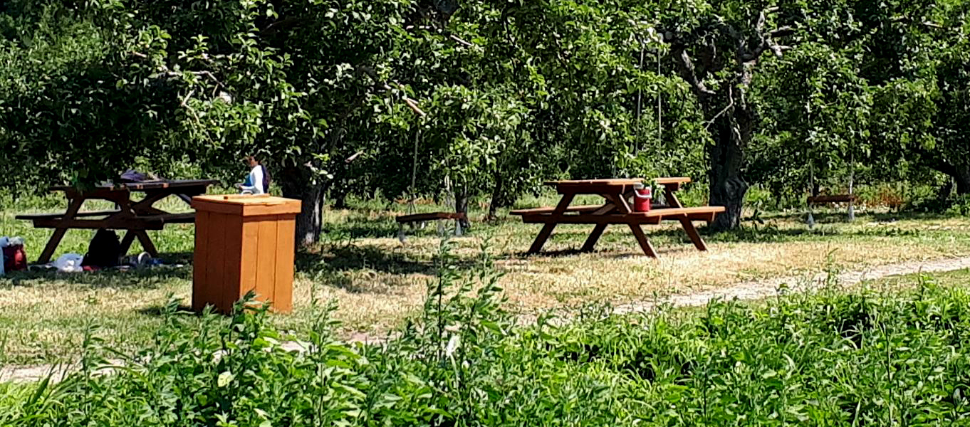 Activites.title company name