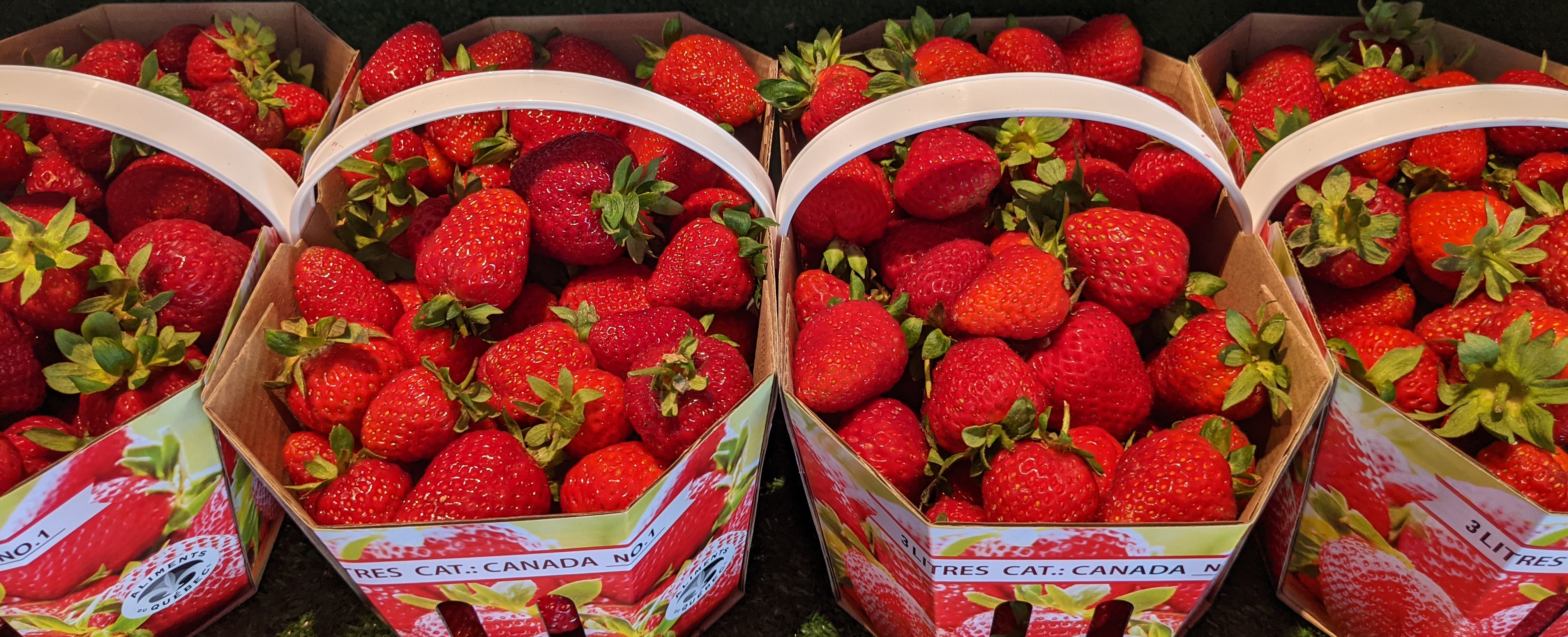 Cueillette De Fraises